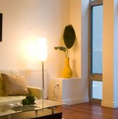 EURO AMERICAN HARDWOOD & DSGN